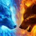 .therainbowwolf avatar